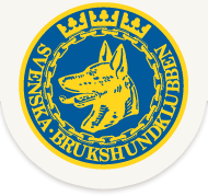 SBKs logotyp