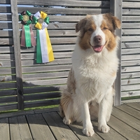 Jennalee Florida - Mizen Jennalee Florida - Mizen