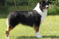 Wow Lixoms Third Time´s the Charm - Karma