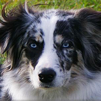 Häxa