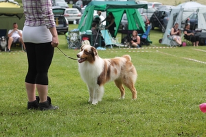 Rasspecialen 2015