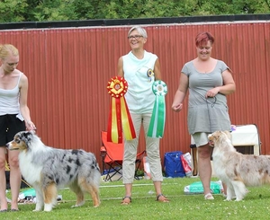 BIS och BIM Rasspecialen 2014