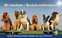 Bli medlem