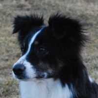 Ebba