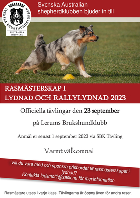 Affisch RM lydnad rally 2023