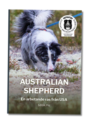 Framsida Infofolder Australian Shepherd