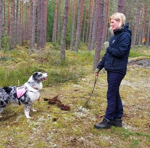 Pauline Wandestam med hund upte på sök