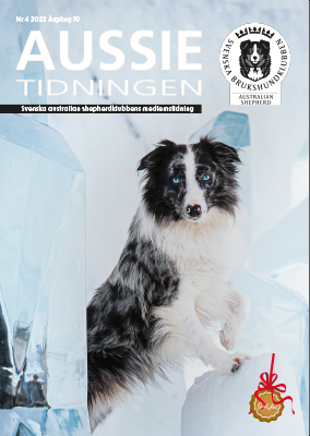 Aussietidningen 4-22