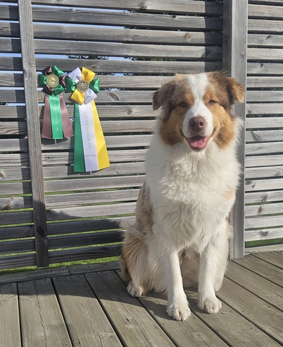 Jennalee Florida - Mizen Jennalee Florida - Mizen