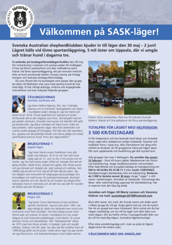 Läger Inbjudan 2019.png
