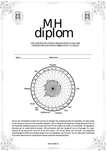 MH Diplom